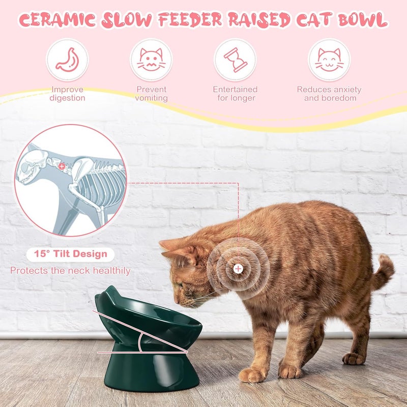 Funnymoom 2 Pcs Ceramic Elevated Slow Feeder Cat Bowl Cute Tilted Anti Vomiting Raised Cat Bowl for Dry Wet Food and Water Easy to Clean High Edge Pet for Small Dogs(Dark Green, Pink) - Image 4